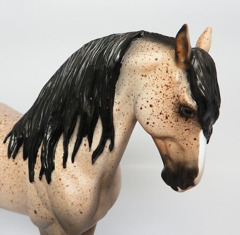 WHISKEY~OOAK FLEABIT ANDAULSIAN MODEL HORSE BY DAWN QUICK WHS-2017