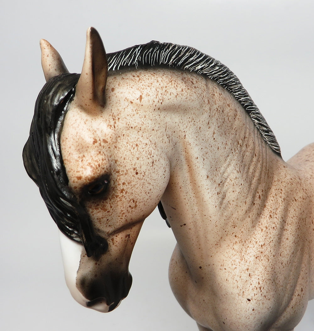 WHISKEY~OOAK FLEABIT ANDAULSIAN MODEL HORSE BY DAWN QUICK WHS-2017