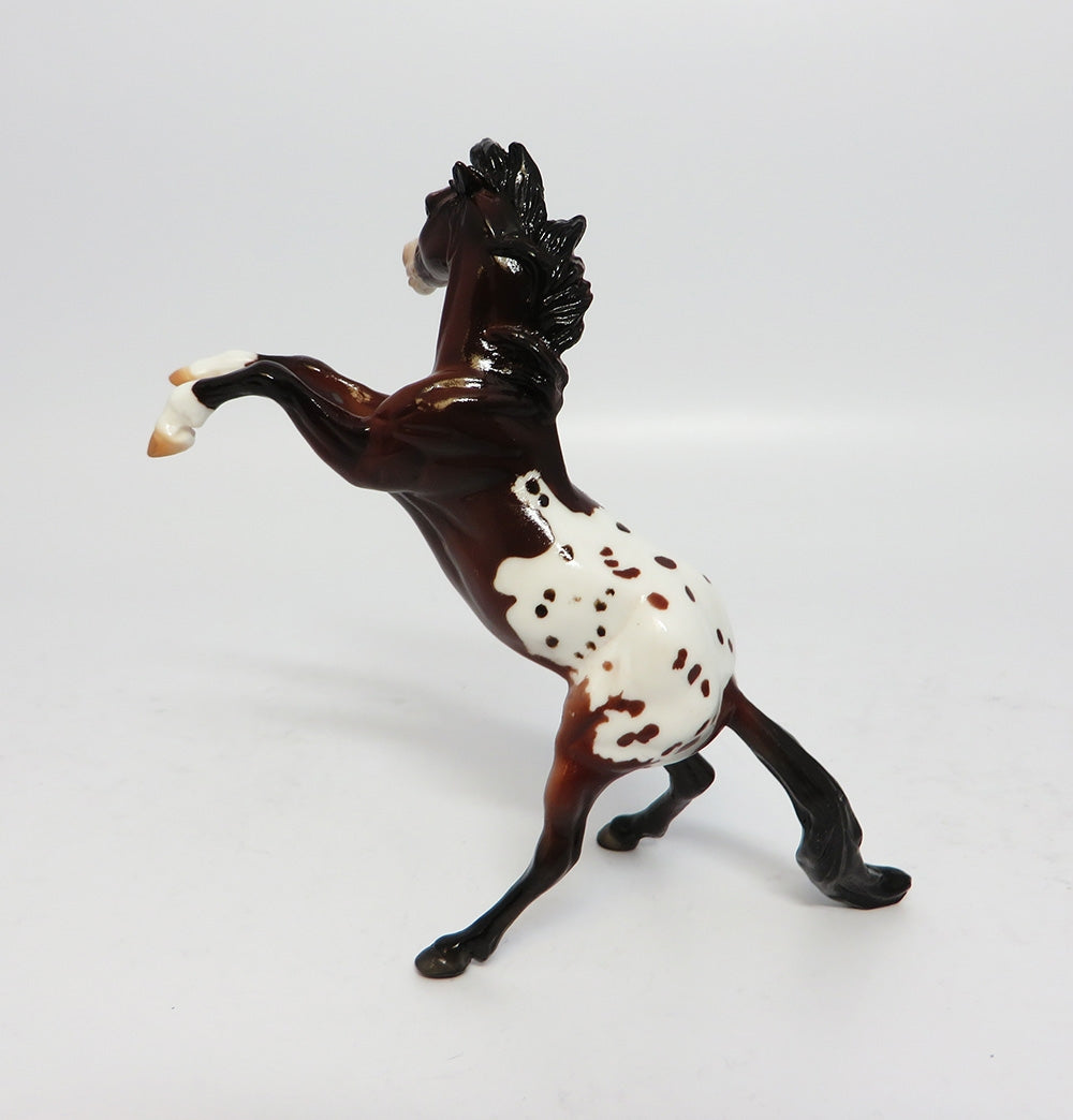 Appaloosa