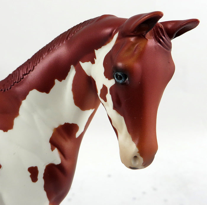 WILDCAT-LE-4 CHESTNUT PAINT WEANLING MODEL HORSE 2/7