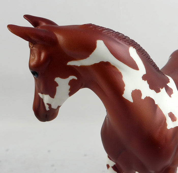 WILDCAT-LE-4 CHESTNUT PAINT WEANLING MODEL HORSE 2/7
