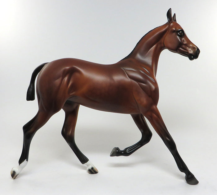 WILLFUL CHILD-LE-5 BAY YEARLING MODEL HORSE EQ 2016 7/28