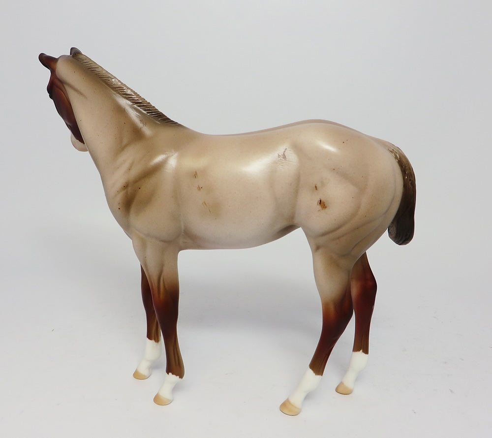 WIND CAVE-OOAK ROAN WEANLING MODEL HORSE EQ 2017
