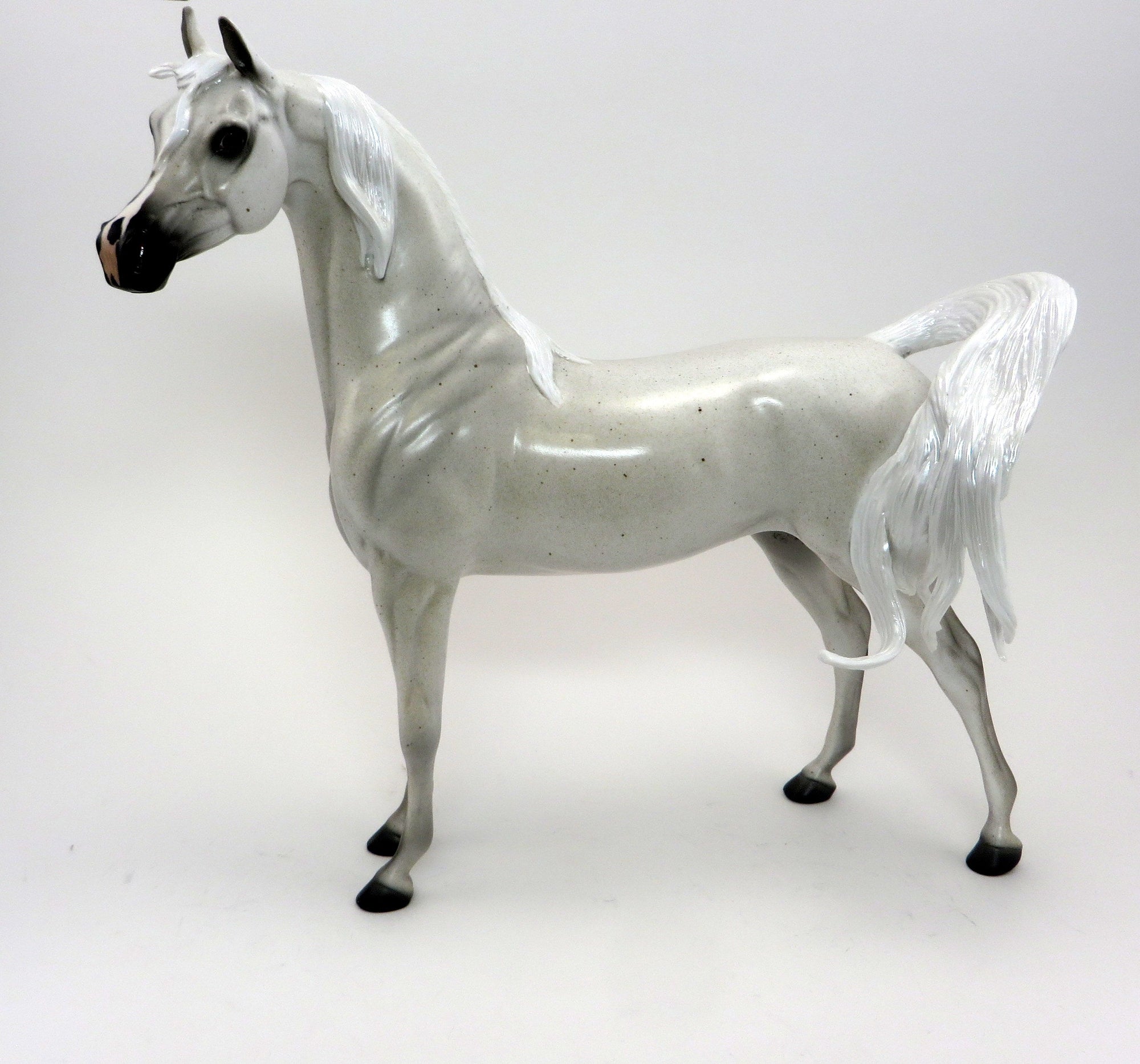 WINTER'S WHISPER - OOAK FLEA BIT ARABIAN - 9/23