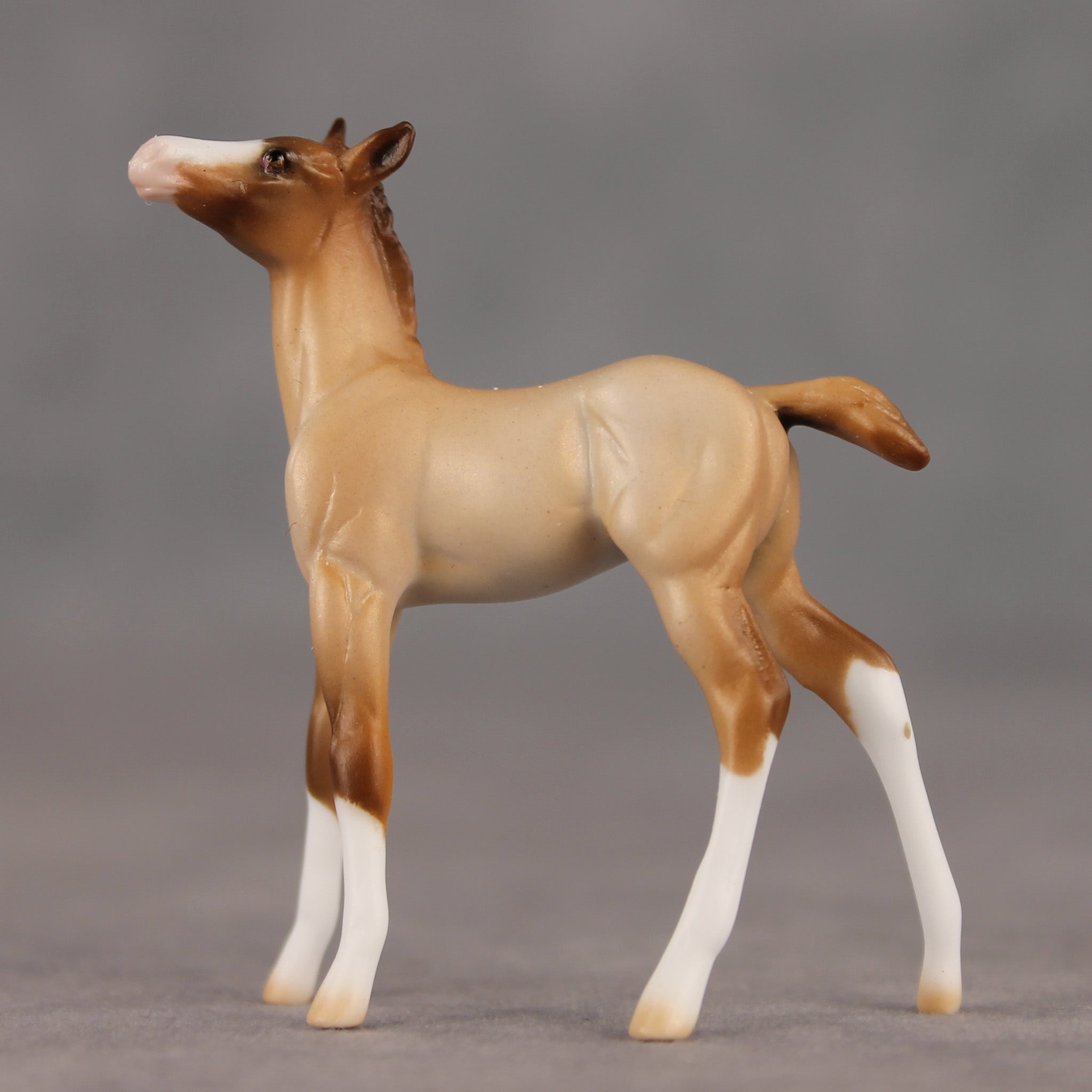 Wrong Turn OOAK Chip Foal by Ellen Robbins SHCF26