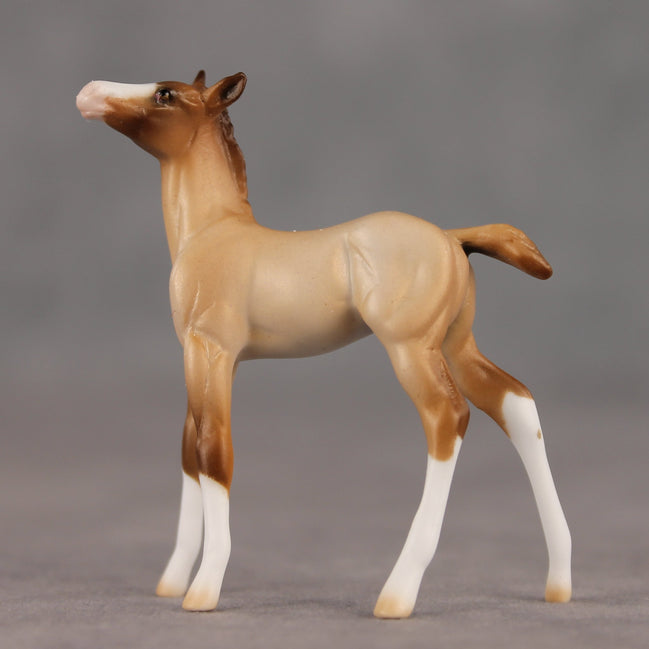 Wrong Turn OOAK Chip Foal by Ellen Robbins SHCF26