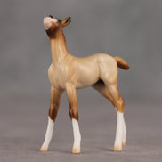 Wrong Turn OOAK Chip Foal by Ellen Robbins SHCF26