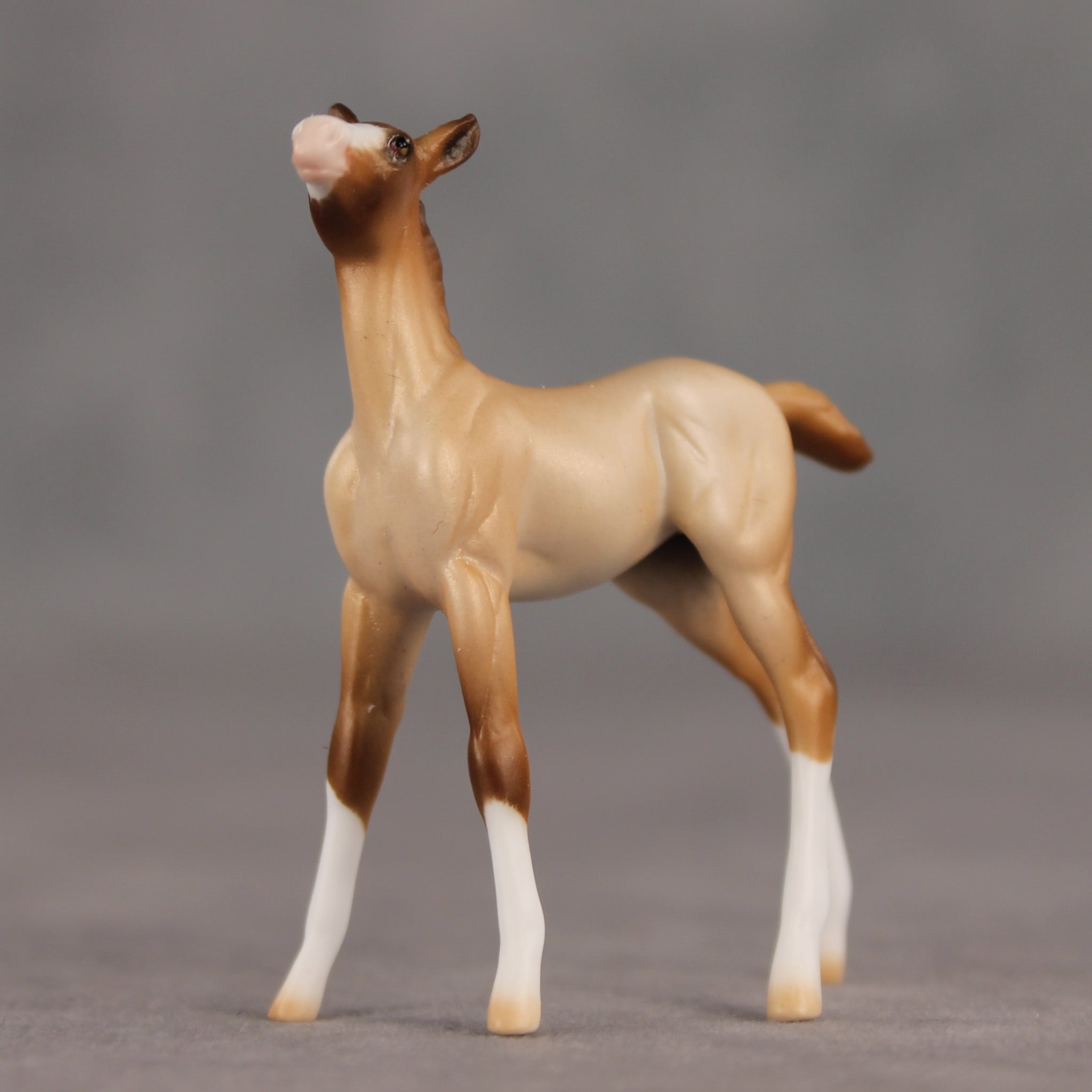 Wrong Turn OOAK Chip Foal by Ellen Robbins SHCF26