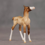 Wrong Turn OOAK Chip Foal by Ellen Robbins SHCF26