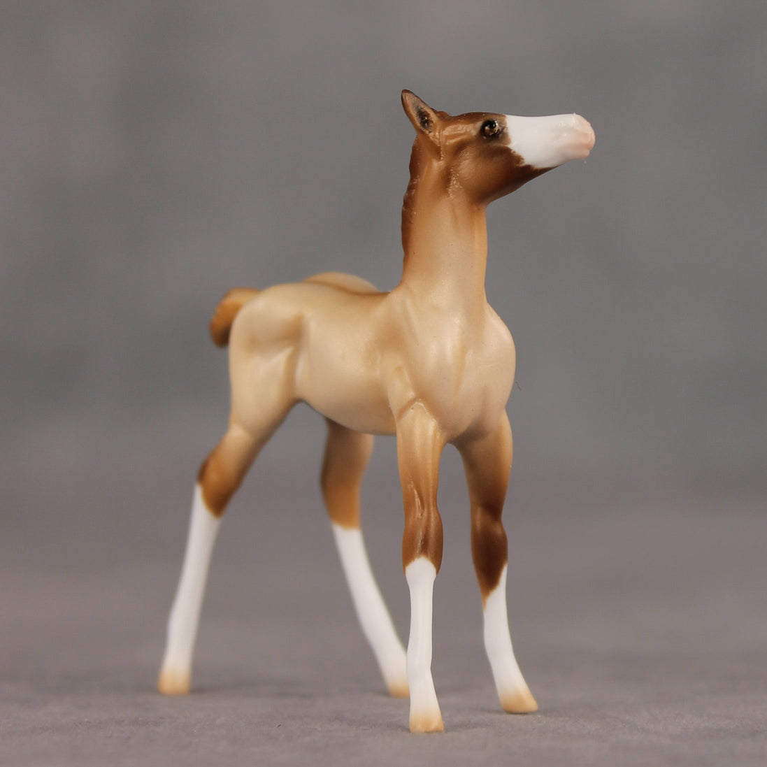 Wrong Turn OOAK Chip Foal by Ellen Robbins SHCF26