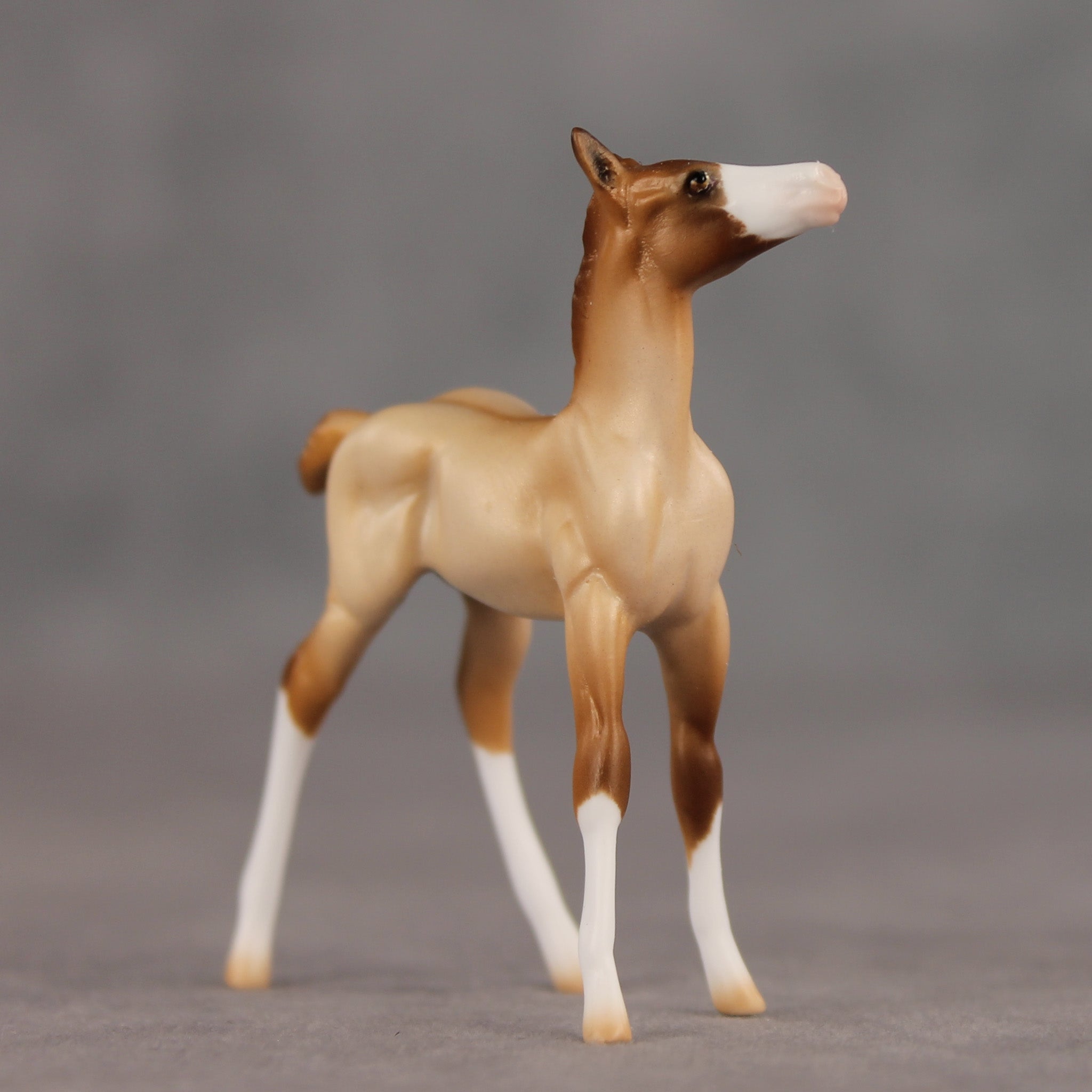 Wrong Turn OOAK Chip Foal by Ellen Robbins SHCF26