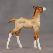 Wrong Turn OOAK Chip Foal by Ellen Robbins SHCF26