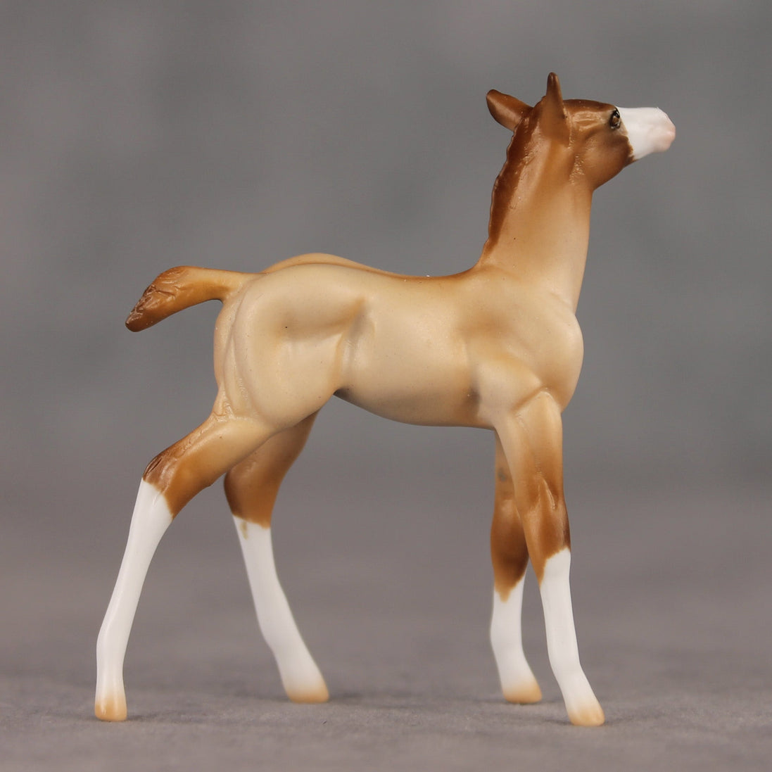Wrong Turn OOAK Chip Foal by Ellen Robbins SHCF26