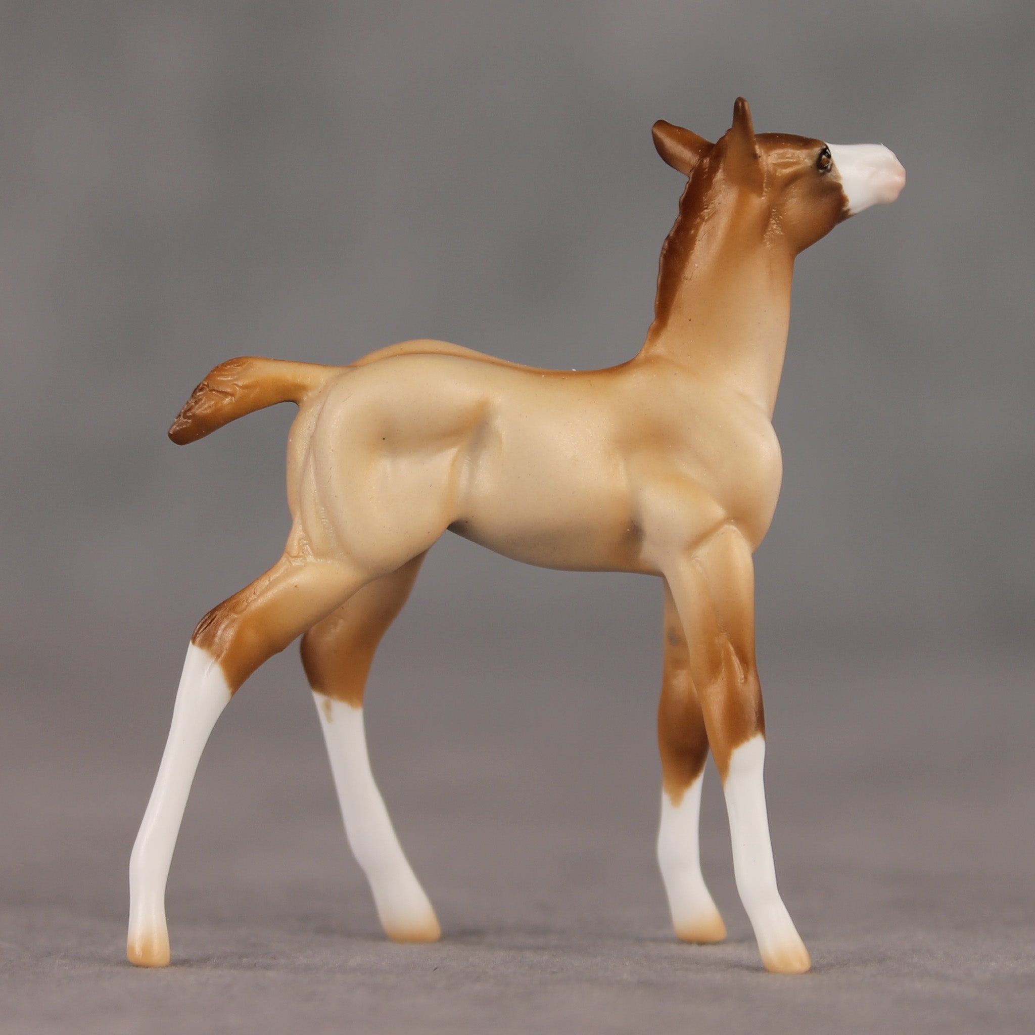 Wrong Turn OOAK Chip Foal by Ellen Robbins SHCF26