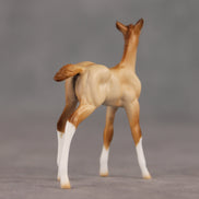 Wrong Turn OOAK Chip Foal by Ellen Robbins SHCF26