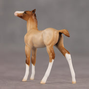 Wrong Turn OOAK Chip Foal by Ellen Robbins SHCF26