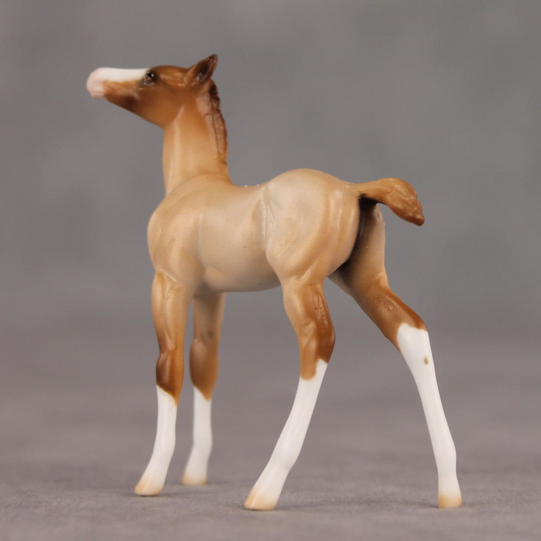 Wrong Turn OOAK Chip Foal by Ellen Robbins SHCF26
