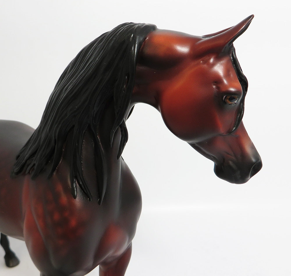 YAHTZEE-OOAK STAR DAPPLE BAY ARABIAN MODEL HORSE BY SHERYL LEISURE WHS 17