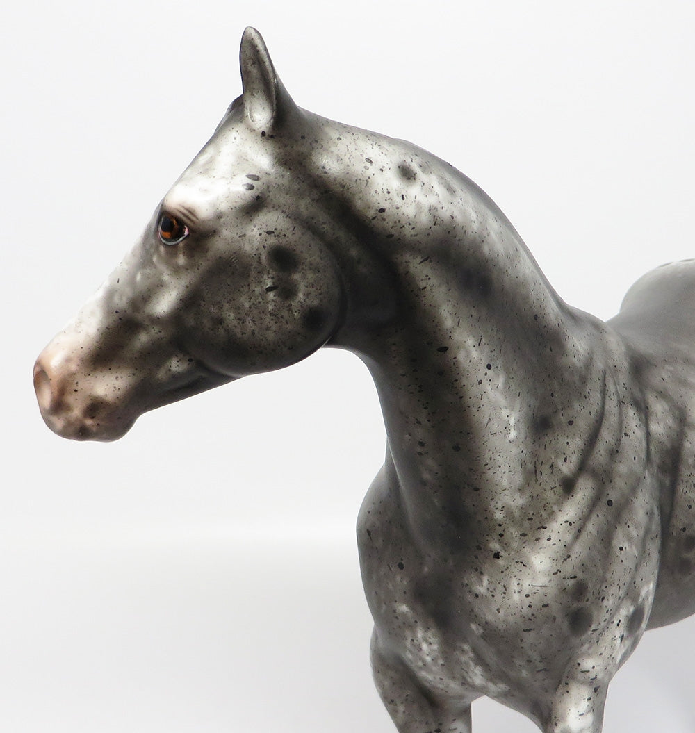 YANKEE-OOAK VARNISH APPALOOSA ISH MODEL HORSE EQ 2017