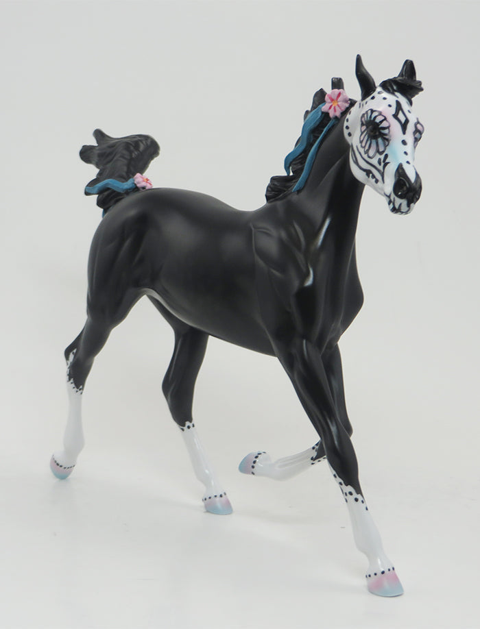 Bella -- OOAK-BLACK SUGAR SKULL YEARLING 9/17