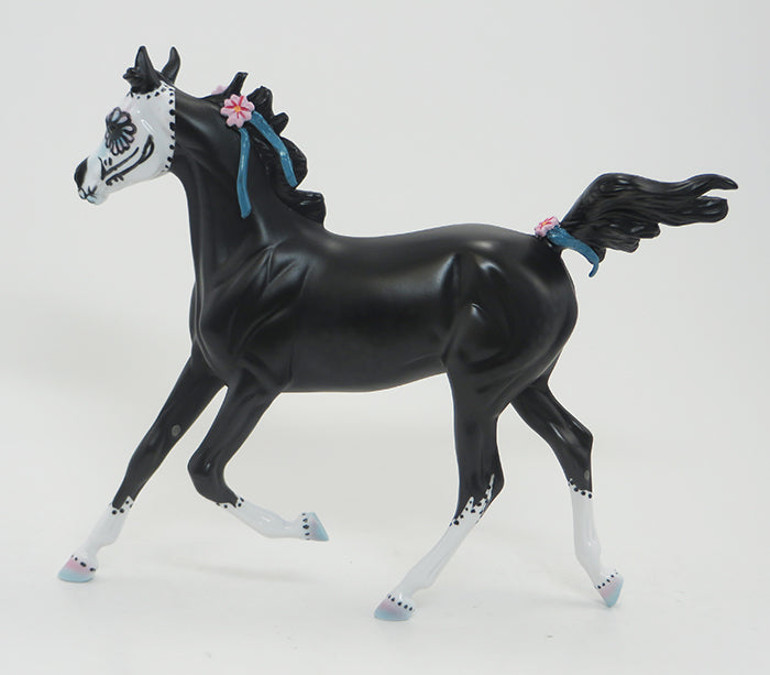 Bella -- OOAK-BLACK SUGAR SKULL YEARLING 9/17