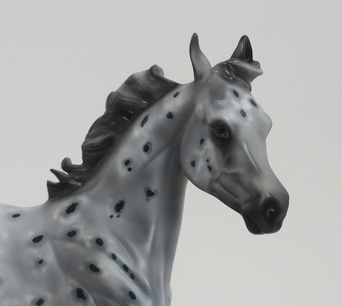 SWIZZLE STICKS-GREY APPALOOSA-OOAK 9/18