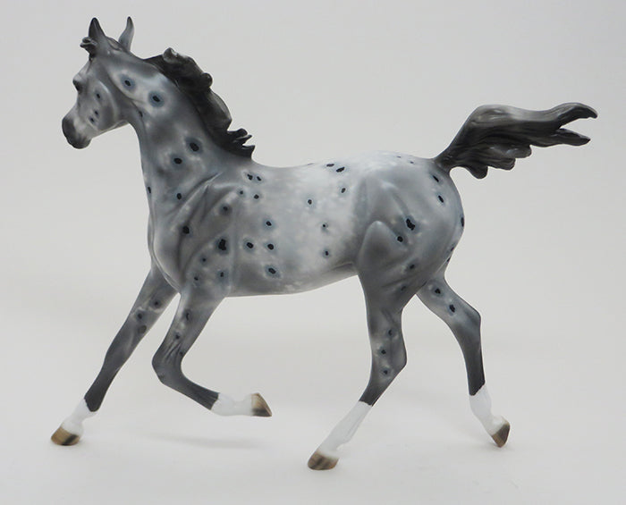 SWIZZLE STICKS-GREY APPALOOSA-OOAK 9/18