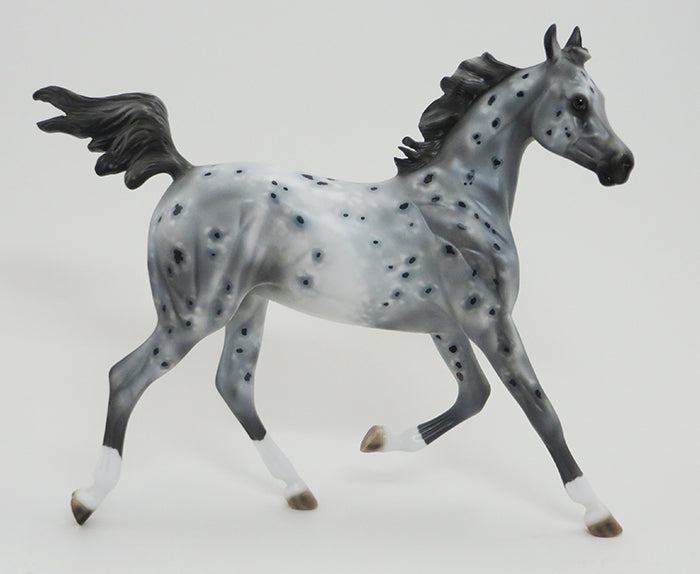 SWIZZLE STICKS-GREY APPALOOSA-OOAK 9/18