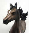 LYRIC - OOAK CHOCOLATE FLEABIT ARABIAN YEARLING MODEL HORSE - 1/22