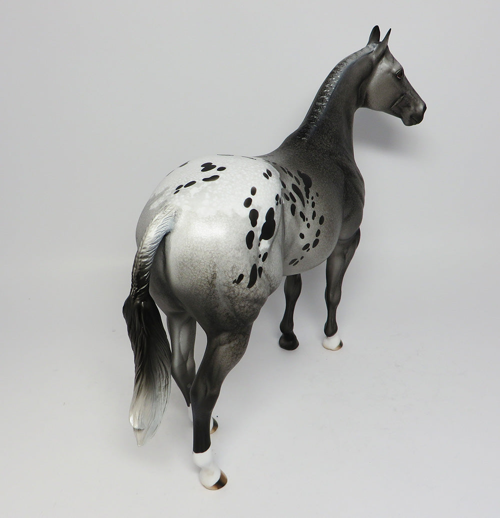 YOSEMITE~LE-6 APPALOOSA BANDED MANE AND TAIL ISH EQ 2017