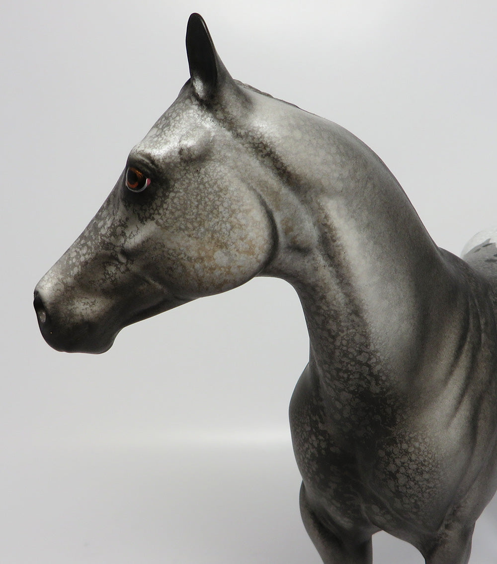 YOSEMITE~LE-6 APPALOOSA BANDED MANE AND TAIL ISH EQ 2017