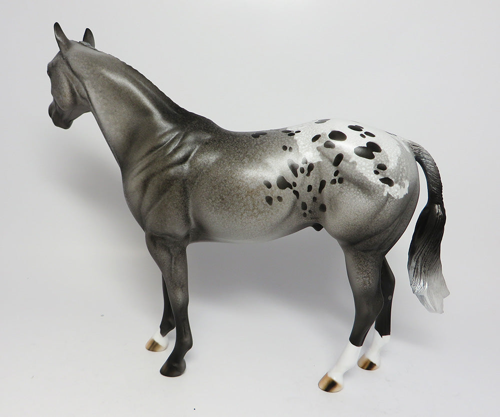 YOSEMITE~LE-6 APPALOOSA BANDED MANE AND TAIL ISH EQ 2017