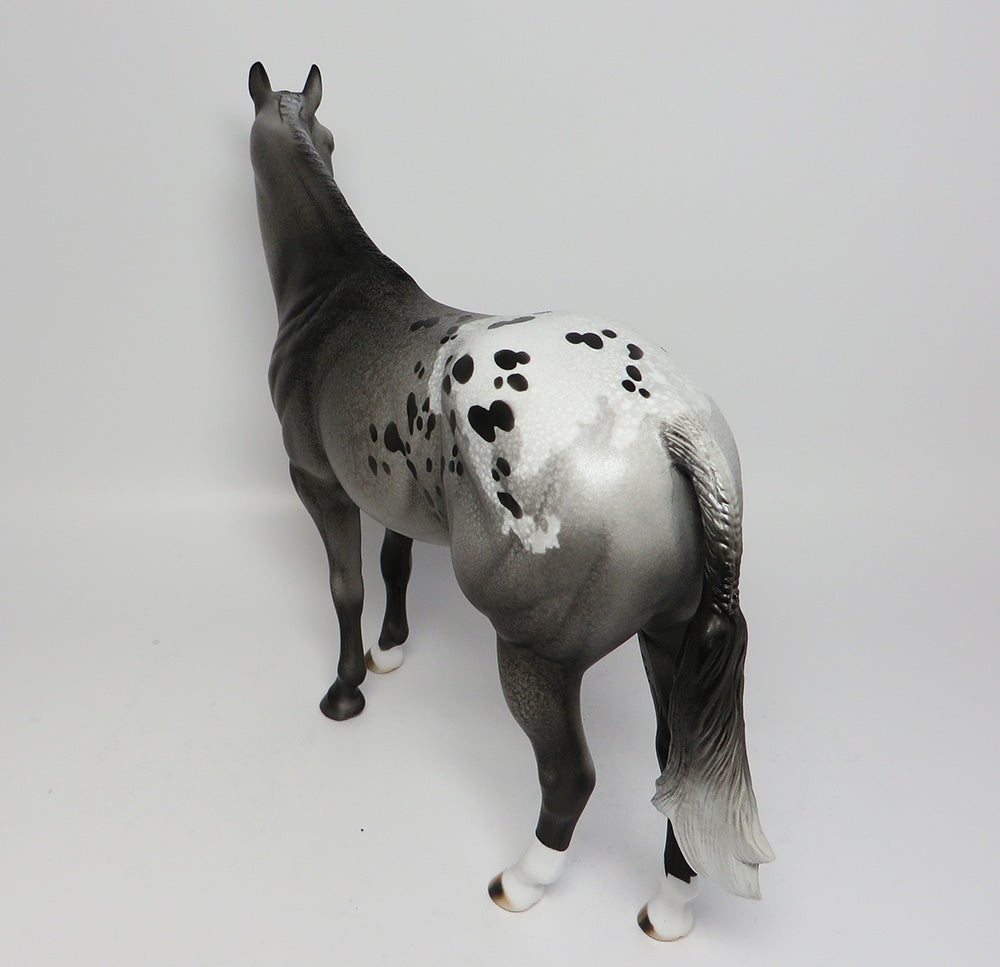 YOSEMITE~LE-6 APPALOOSA BANDED MANE AND TAIL ISH EQ 2017