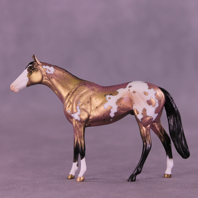 Yours Truly OOAK Chip Thoroughbred  by Anna Rieck VV26