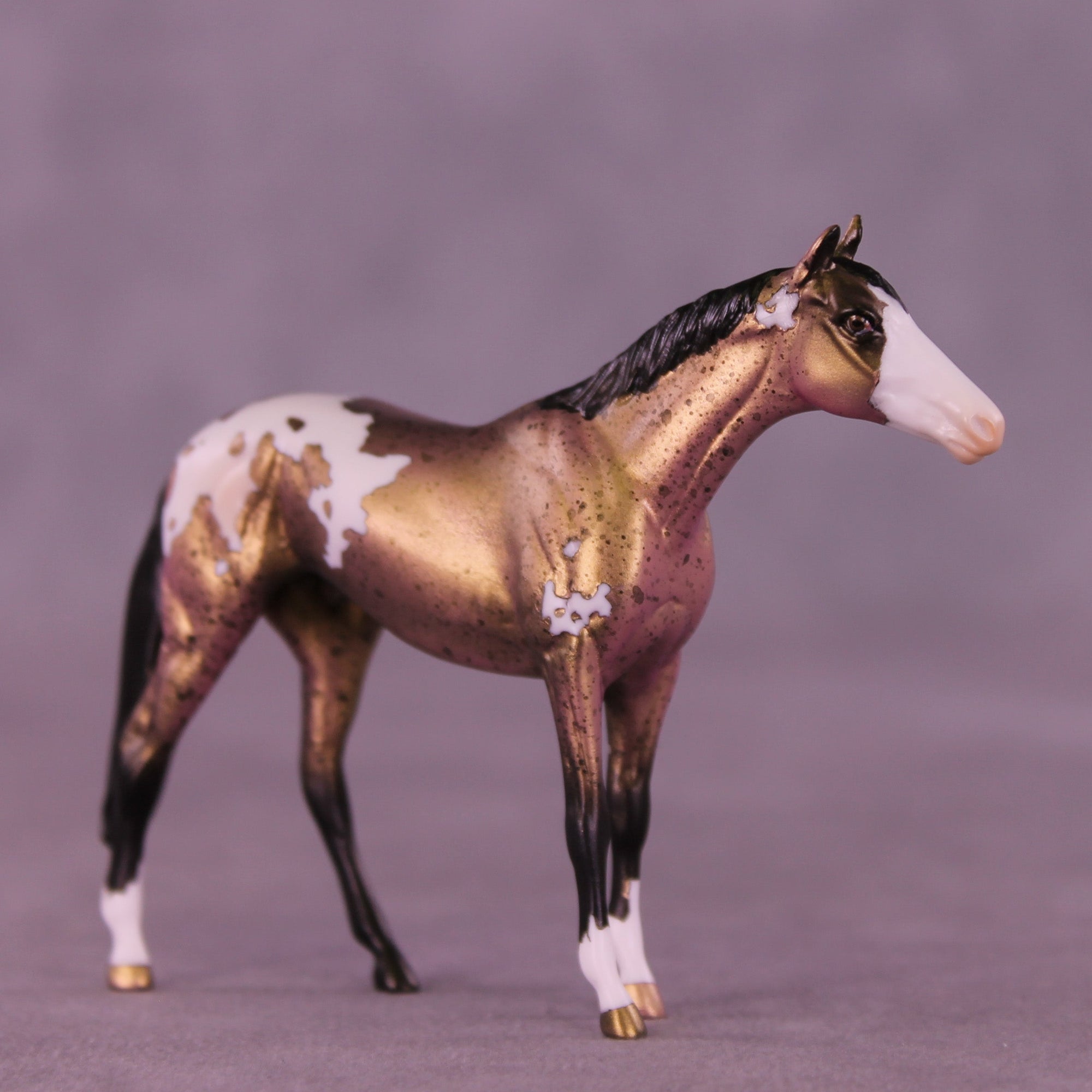Yours Truly OOAK Chip Thoroughbred  by Anna Rieck VV26