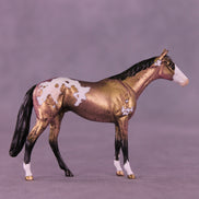 Yours Truly OOAK Chip Thoroughbred  by Anna Rieck VV26