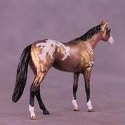 Yours Truly OOAK Chip Thoroughbred  by Anna Rieck VV26