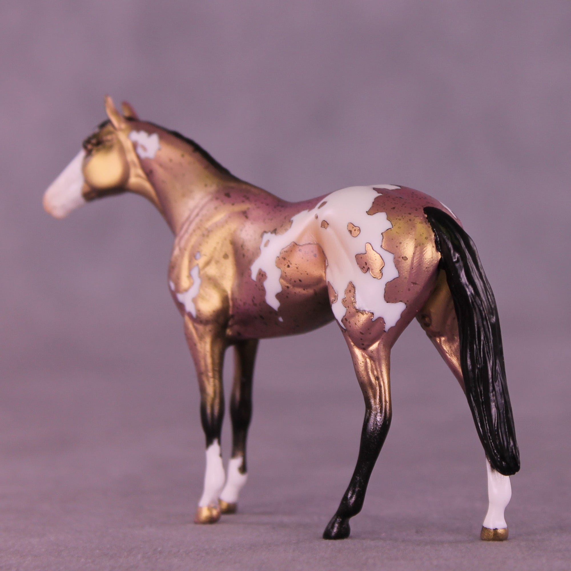 Yours Truly OOAK Chip Thoroughbred  by Anna Rieck VV26