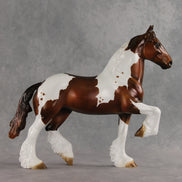Zdravko OOAK FCM Trotting Drafter by Julie Keim VV26