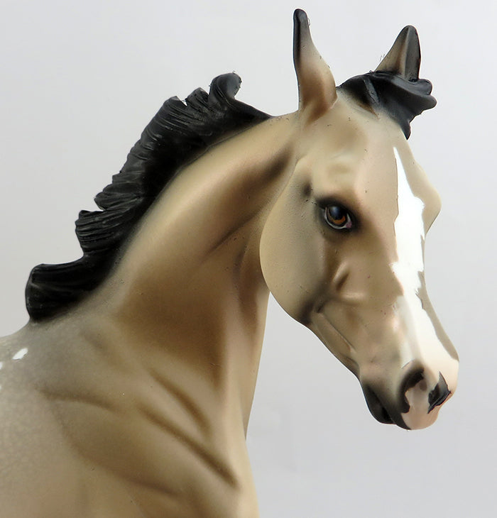 ZEEKE-OOAK BUCKSKIN APPALOOSA YEARLING MODEL HORSE 1/20