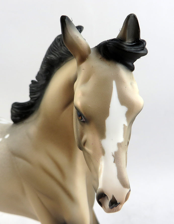 ZEEKE-OOAK BUCKSKIN APPALOOSA YEARLING MODEL HORSE 1/20