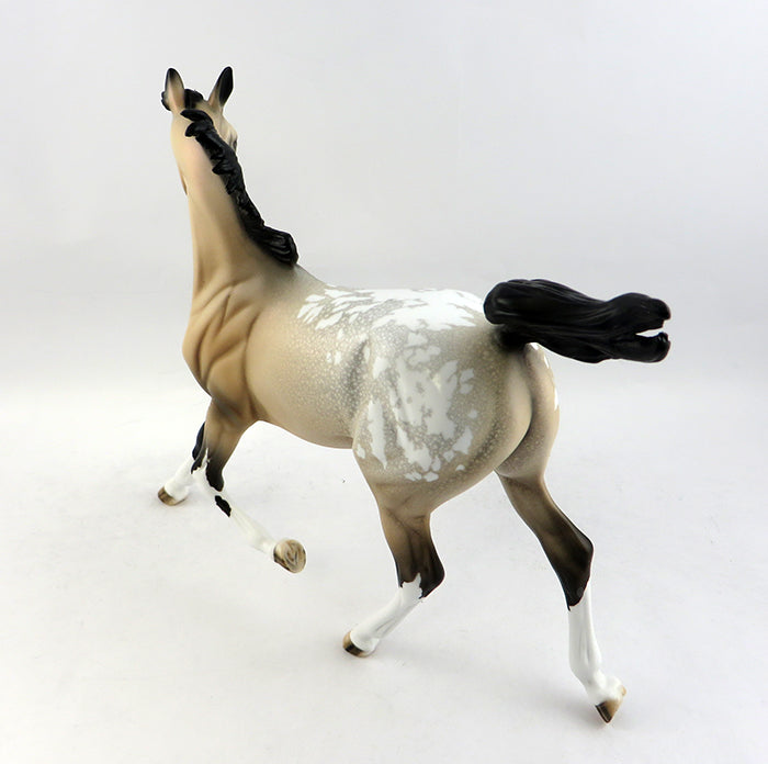 ZEEKE-OOAK BUCKSKIN APPALOOSA YEARLING MODEL HORSE 1/20