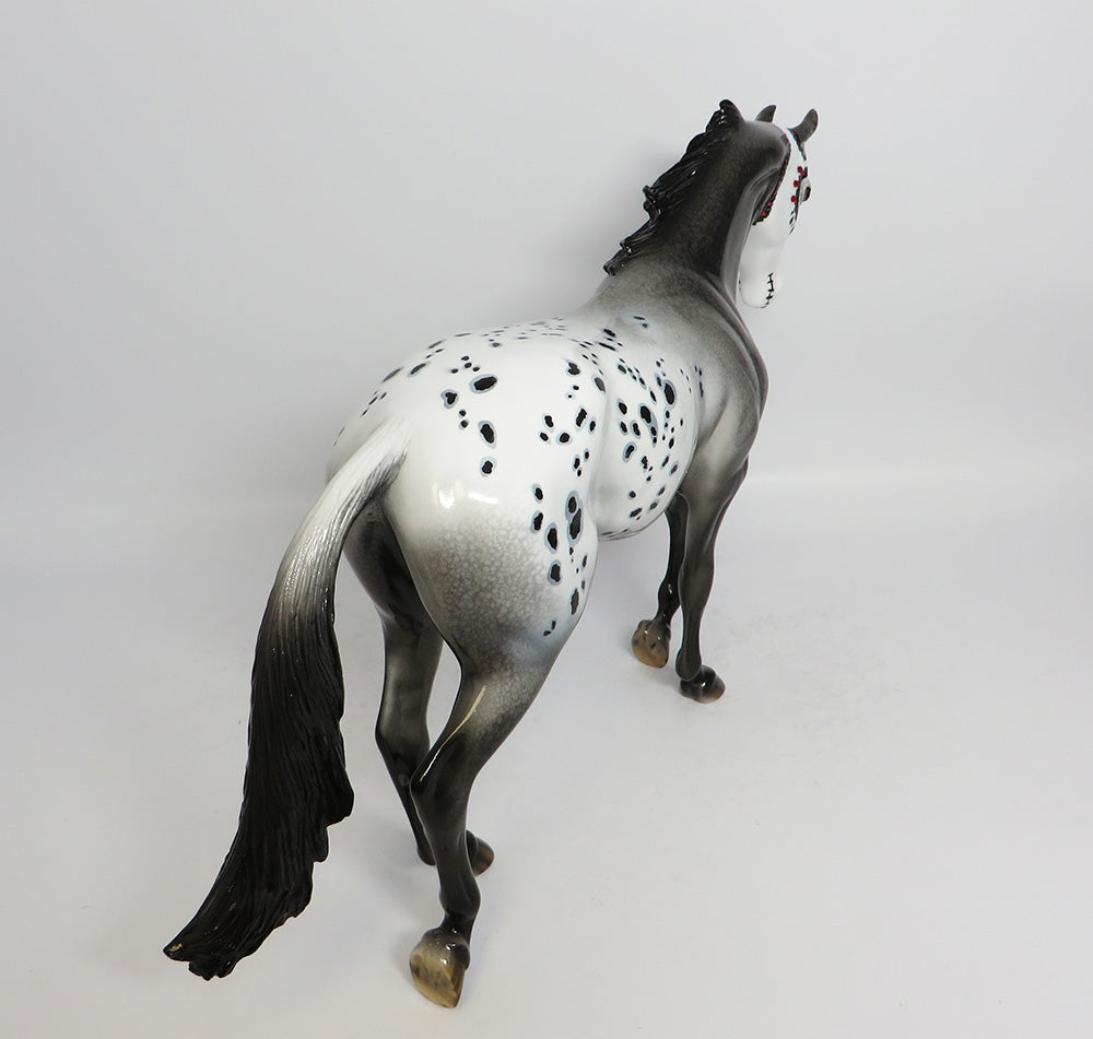 Appaloosa