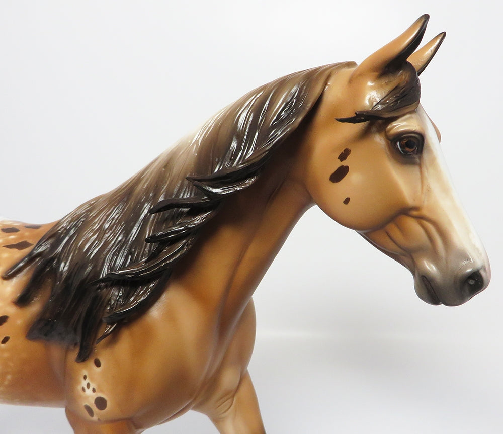 ZION~OOAK CHESTNUT APPALOOSA PALOUSE MODEL EQ 2017