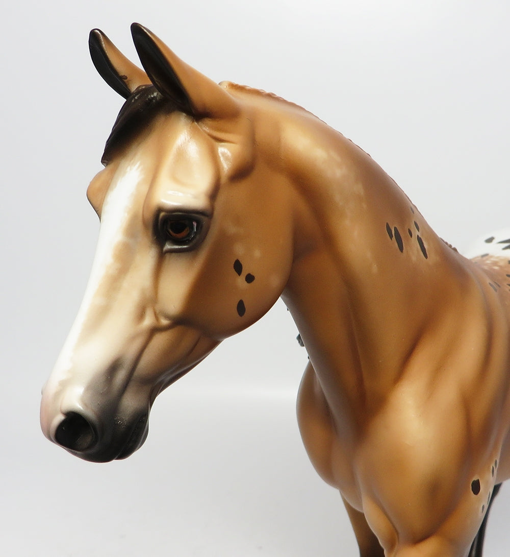 ZION~OOAK CHESTNUT APPALOOSA PALOUSE MODEL EQ 2017
