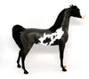 Arabian