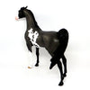 Blue Roan