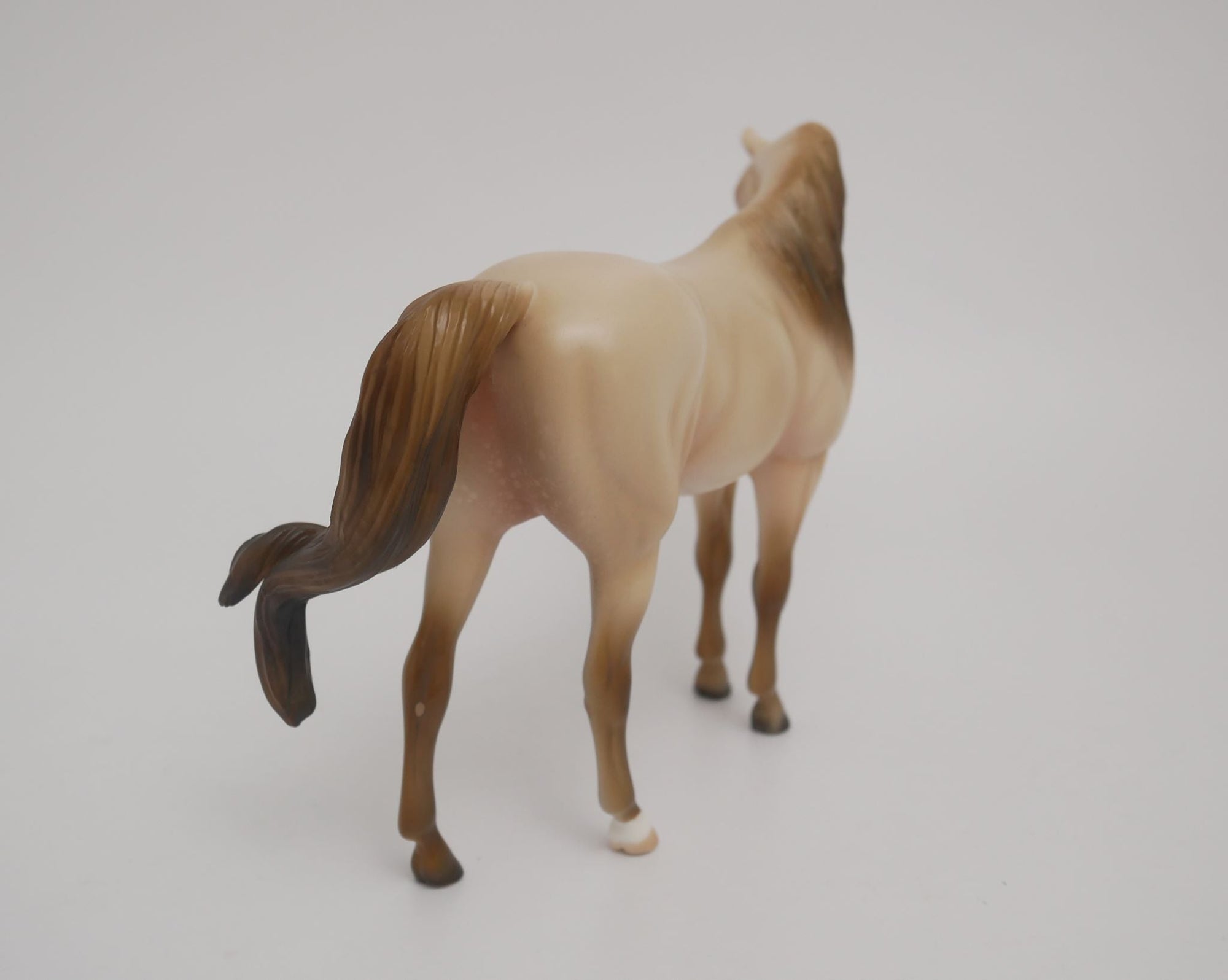SANDY-OOAK PEBBLES ARABIAN BY AUDREY DIXON 6/2/20