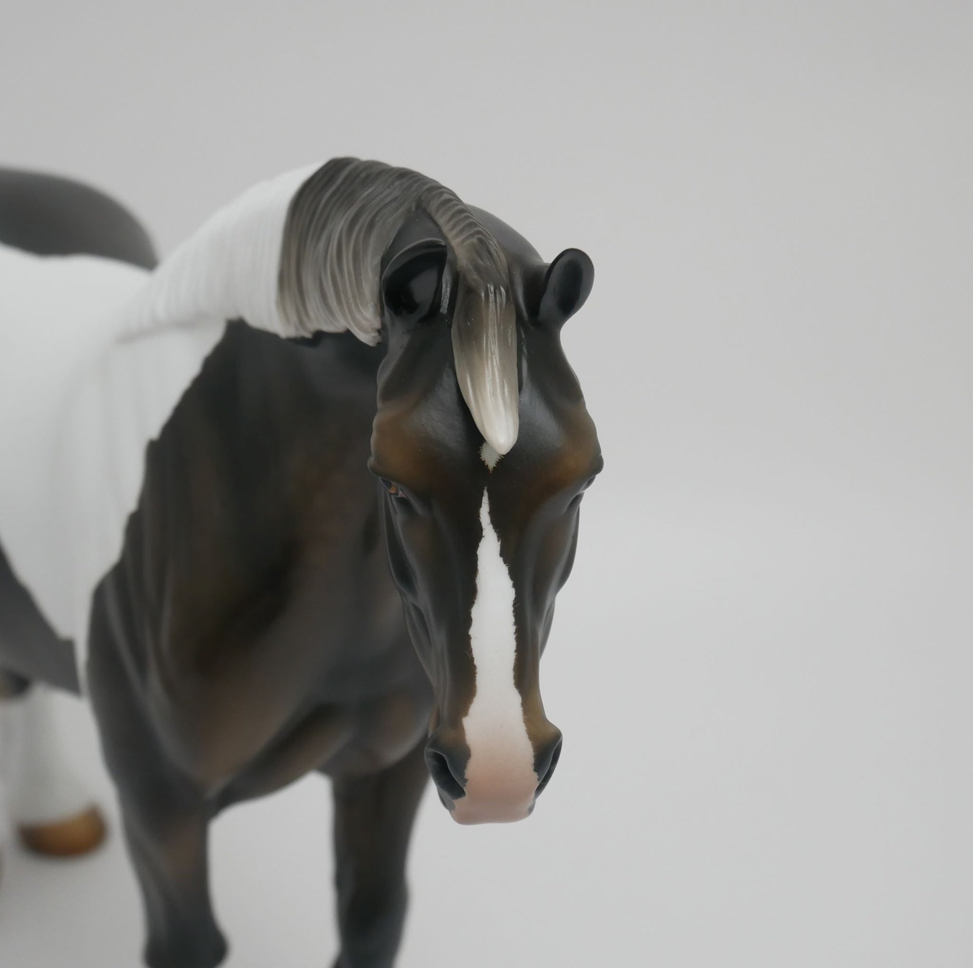 CHOCOLATE CREAM-OOAK BROWN BAY PINTO HEAVY DRAFT MARE BY AUDREY DIXON 6/1/20