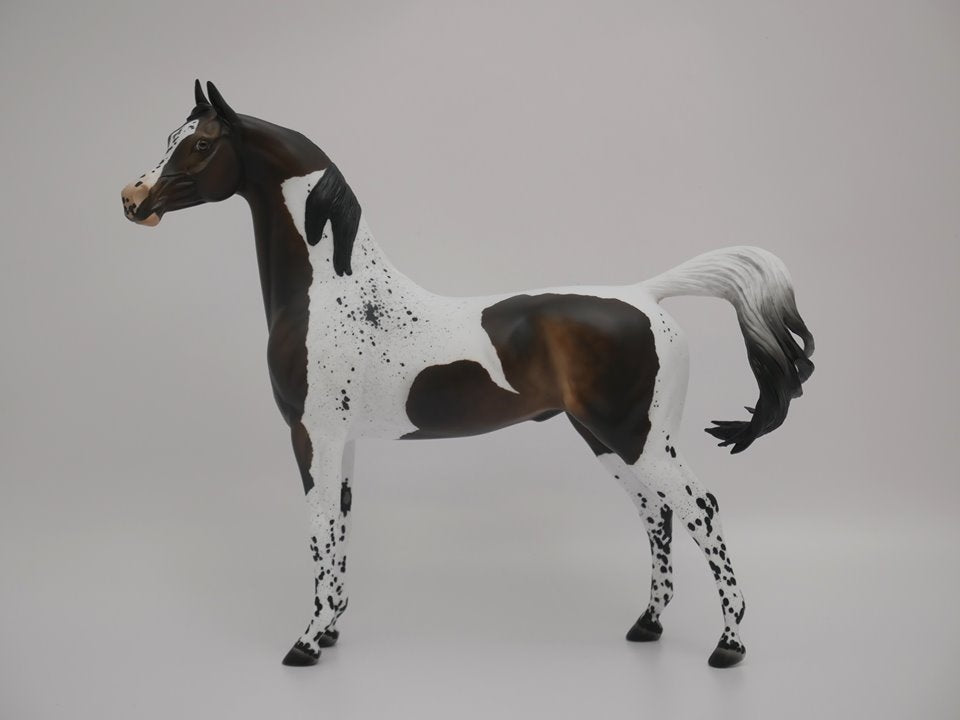arabian